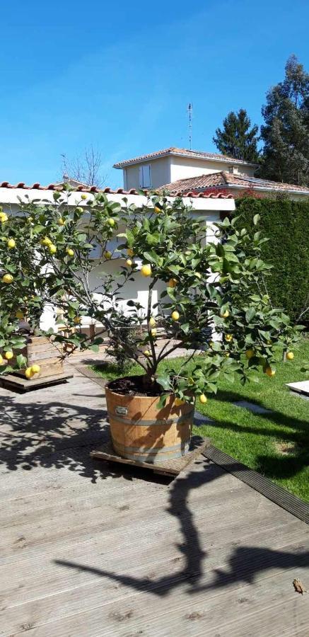 Bed and Breakfast Chez Jeanfi Fronsac  Esterno foto