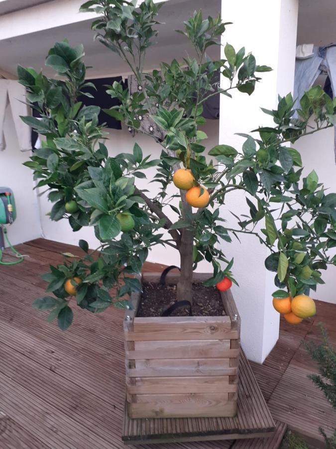 Bed and Breakfast Chez Jeanfi Fronsac  Esterno foto